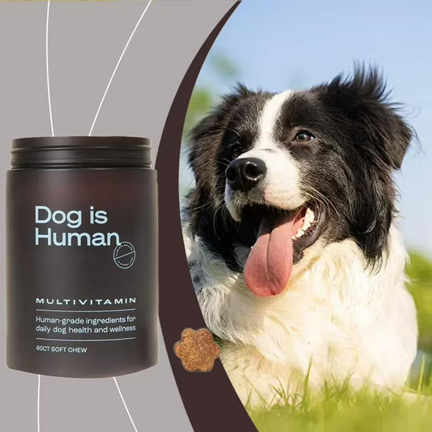 MULTIVITAMINAS masticables para PERROS